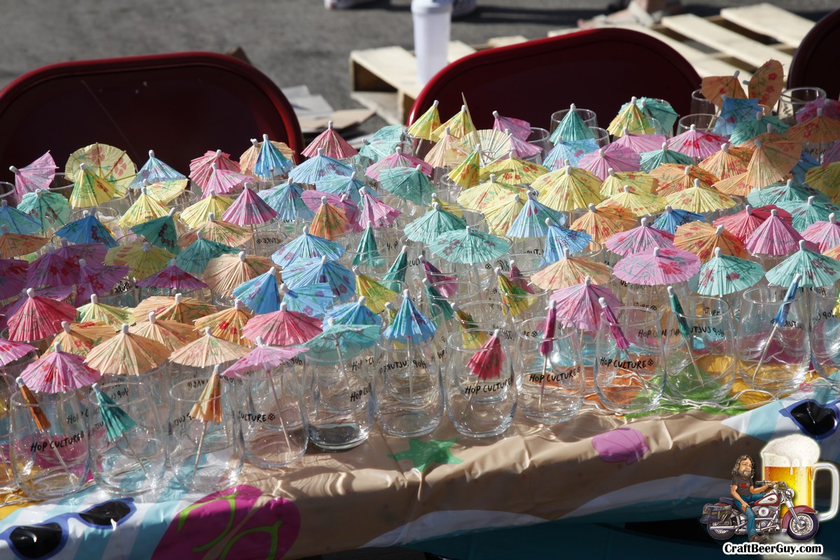 beach-party_003